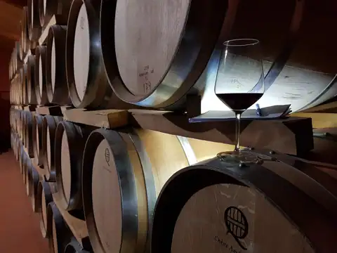 Bodegas Sers, en Cofita, foto 2 de 5