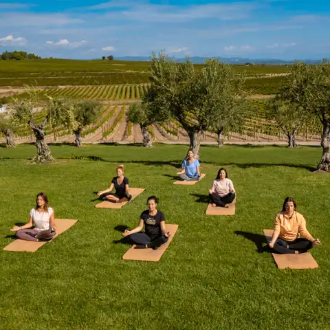 «LAUS & Yoga», foto 3 de 3