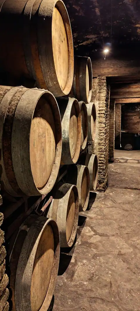 Bodegas Osca, en Ponzano, foto 4 de 7