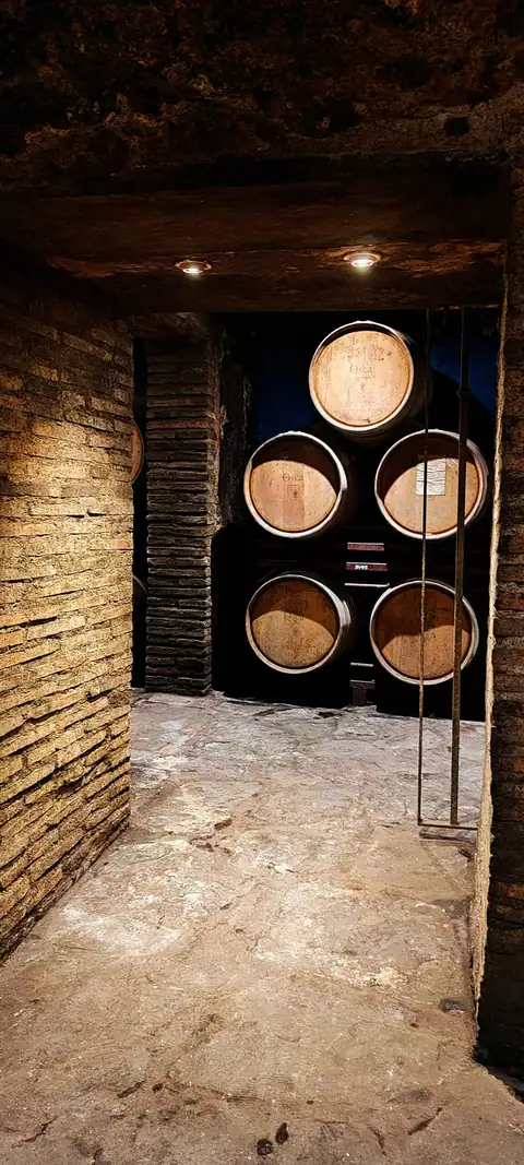 Bodegas Osca, en Ponzano, foto 5 de 7