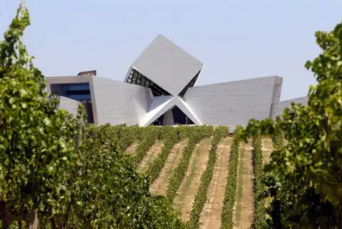 Cartel y fotos de «Bus del Vino Somontano «A la Vendimia»», foto 2 de 7