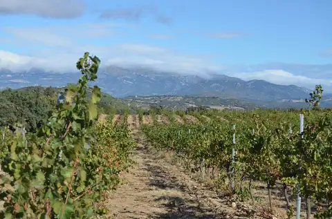Bodega Idrias, en Lascellas, foto 5 de 5