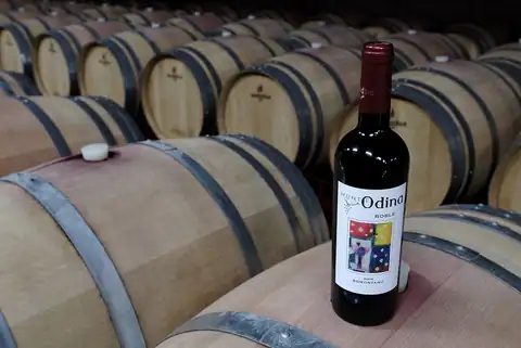 Bodegas Monte Odina, en Ilche, foto 3 de 5