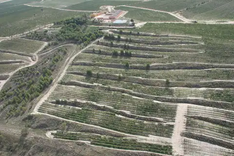 Bodegas Meler, en Barbastro, foto 2 de 5