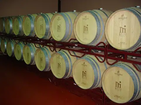 Bodegas Meler, en Barbastro, foto 4 de 5
