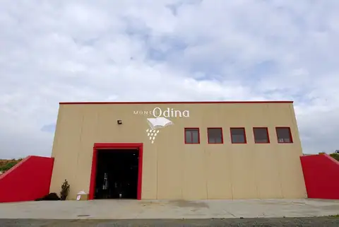 Bodegas Monte Odina, en Ilche, foto 5 de 5