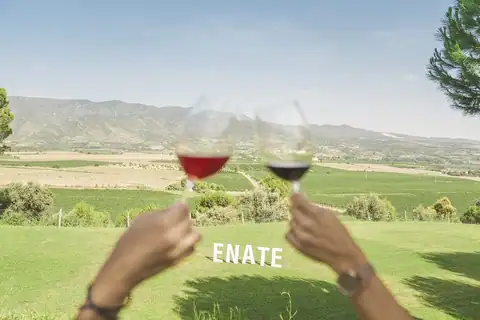 «Iconos ENATE», foto 2 de 5