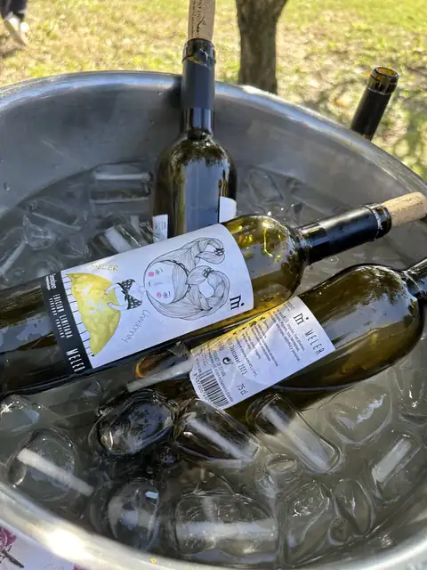 Cartel y fotos de «Bus del Vino Somontano «Guara Somontano»», foto 4 de 7