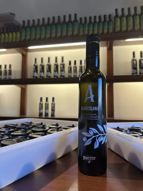 Cartel y fotos de «Bus del Vino Somontano «Sabor a Somontano»», foto 3 de 7