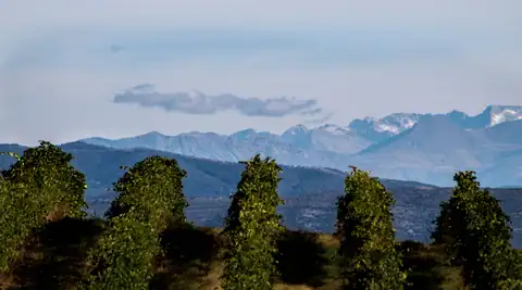«Paseo de la viña a Bodegas Meler», foto 2 de 3