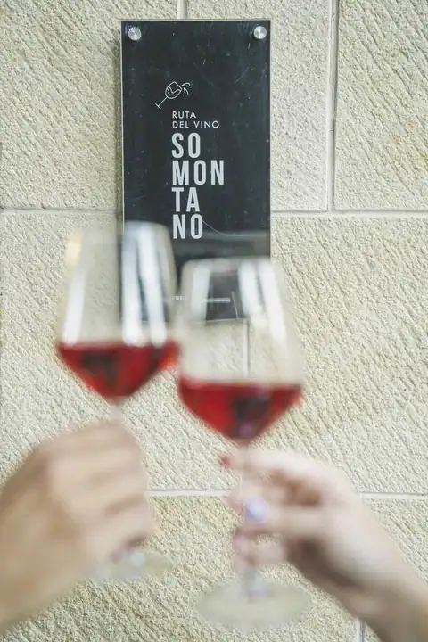 Foto de la noticia «El Bus del Vino Somontano da la Bienvenida a la Primavera…»
