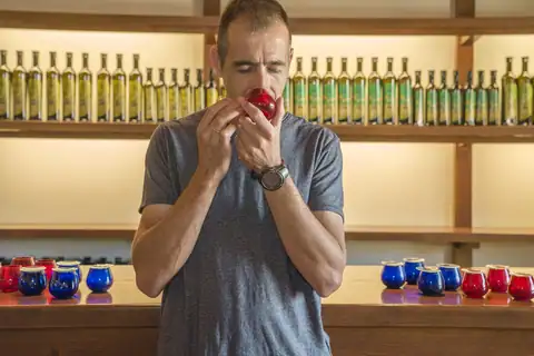 Cartel y fotos de «Bus del Vino Somontano «Sabor a Somontano»», foto 2 de 7