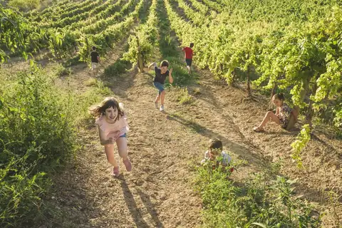 Foto de la noticia «La Ruta del Vino Somontano con niños»