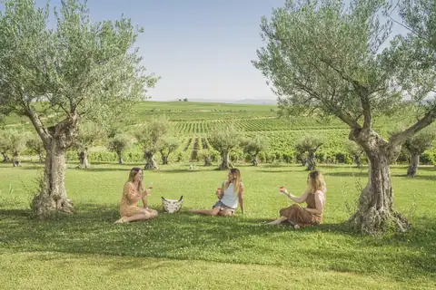 «Visita LAUS con cata y aperitivo», foto 4 de 5