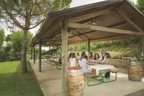 «Barbacoa entre viñedos», foto 3 de 5