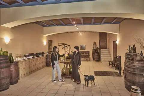 Bodegas Fábregas, en Barbastro, foto 5 de 5
