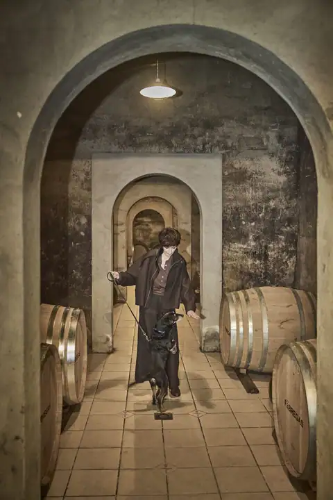 Bodegas Fábregas, en Barbastro, foto 2 de 5