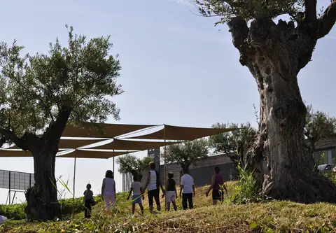 «Relax en el viñedo de Bodega LAUS», foto 1 de 1