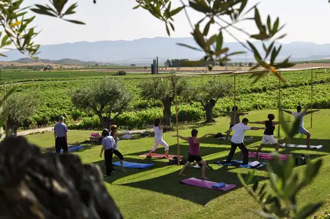 «LAUS & Yoga», foto 1 de 3