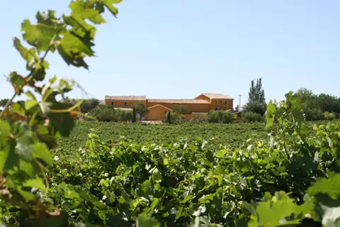 «Paseo de la viña a Bodegas Meler», foto 3 de 3