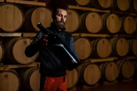Bodegas Sers, en Cofita, foto 4 de 5