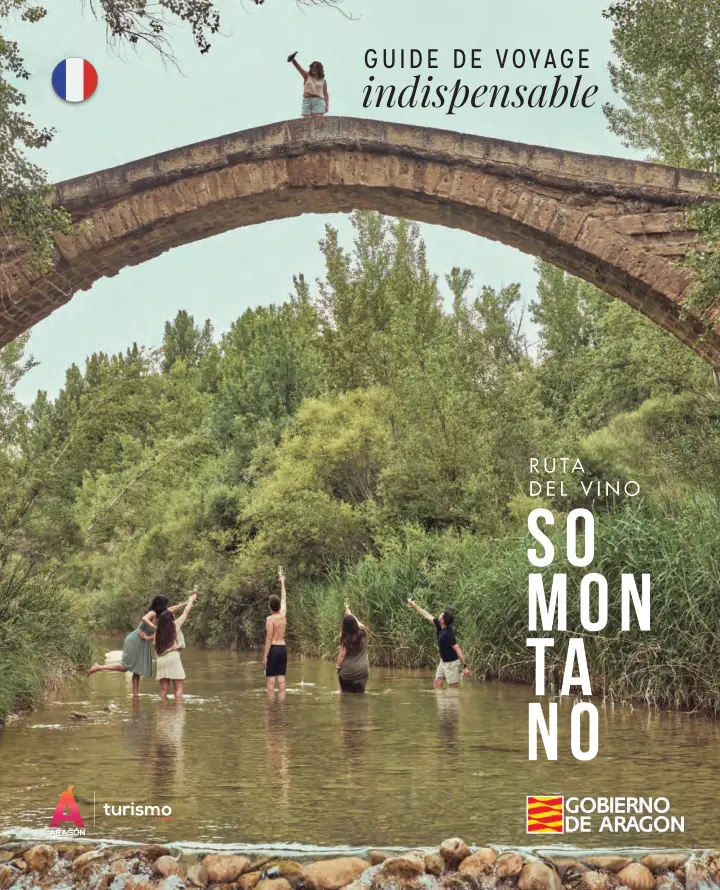 Portada de «Guide indispensable (francés)»