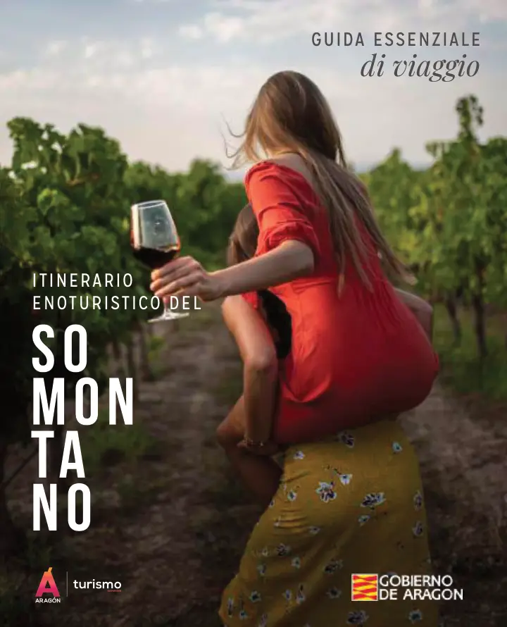 Portada de «Guida essenziale di viaggio (italiano)»