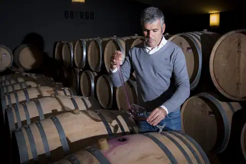 Bodegas Obergo, en Ubiergo, foto 4 de 7