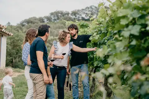 Bodegas Sers, en Cofita, foto 5 de 5