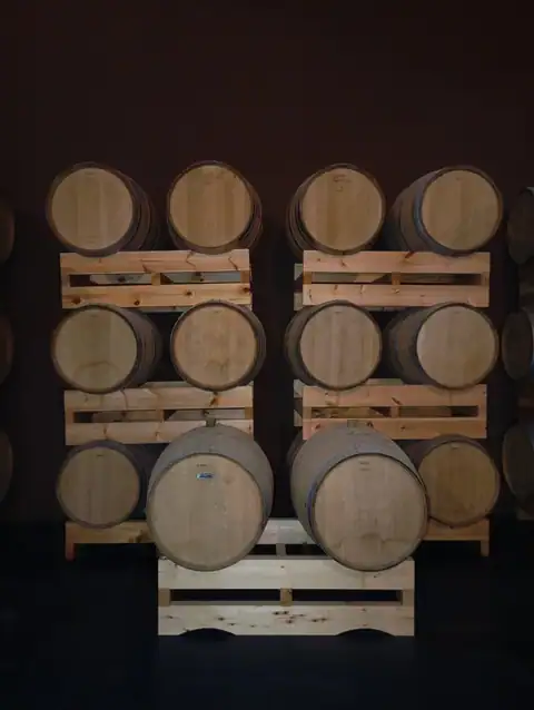 Bodega Leo & Niné, en Castillazuelo, foto 3 de 5