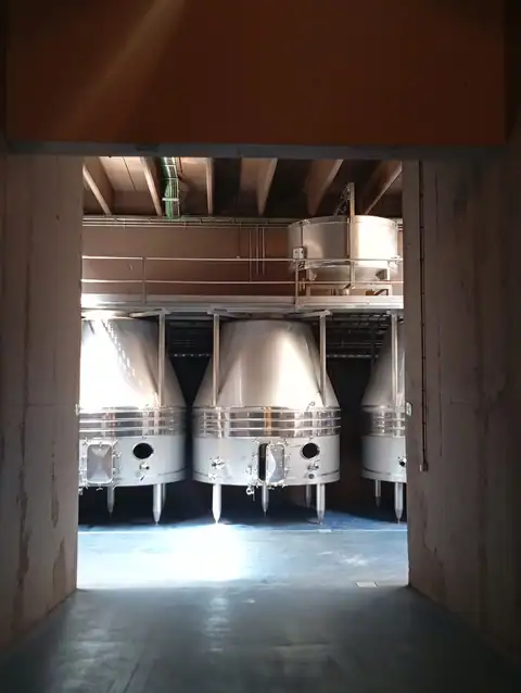 Bodega Leo & Niné, en Castillazuelo, foto 5 de 5