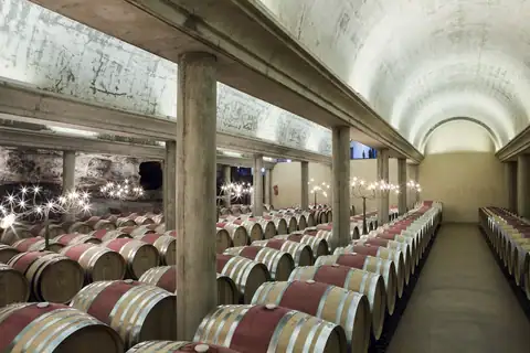 Cartel y fotos de «Bus del Vino Somontano «Historia y Tradición»», foto 1 de 7